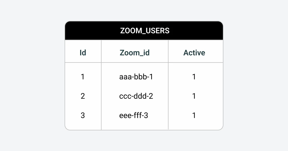 Zoom users