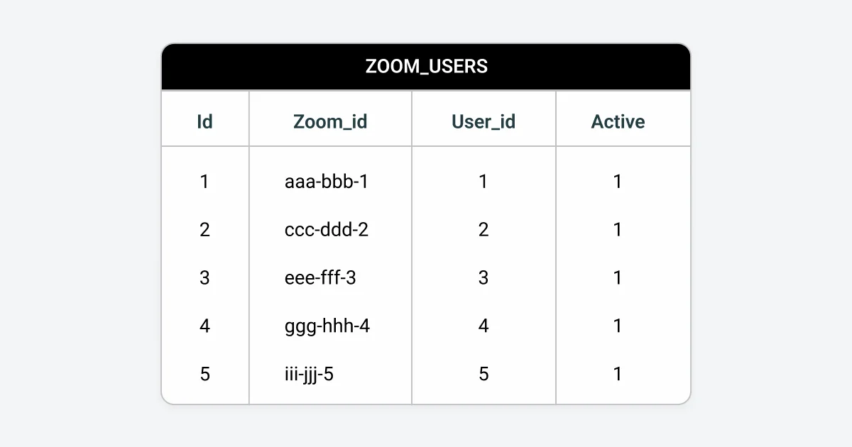 Zoom users